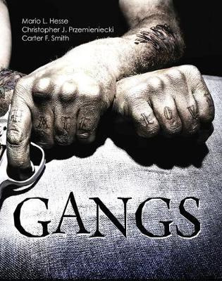 Libro Gangs - Mario L. Hesse