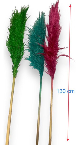 5 Pzas Pampas Frescas Decoración 1.2 Metros Colores