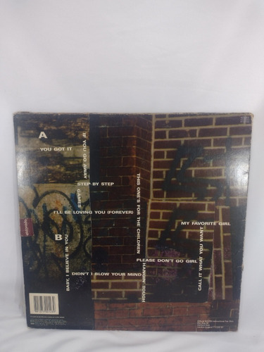 Lp Vinil Hits New Kids On The Block If You Go Away Best Of (Usado)