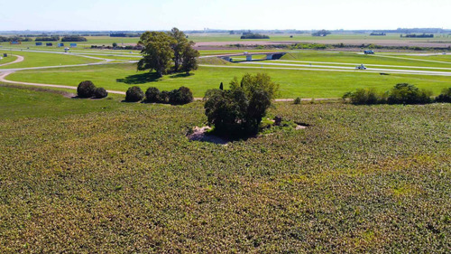 Imagen 7 de 14 de Venta, Campo 10ha Con Frente Sobre Autopista Bs As