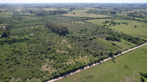 Imagen 12 de 17 de 15 Has En Ingreso A Colón Entre Ríos