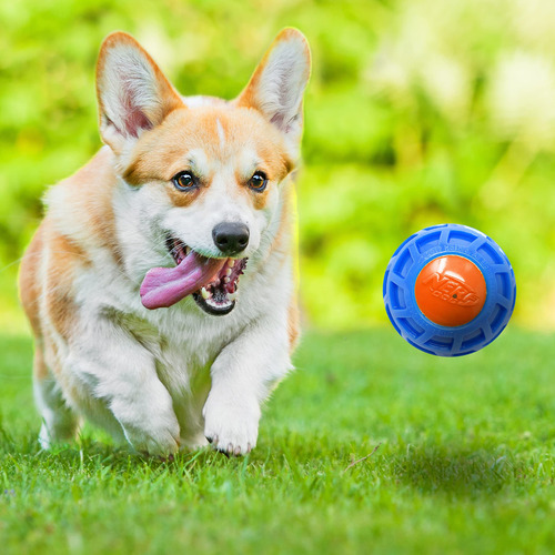 Squeak Ball Nerf Dog Tpr Exo 7,62 Cm Azul/naranja