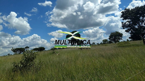 Chácara Parcelada Uberlandia 20.000 M², Entrada R$ 38.000,00 E Parcelas De - 391