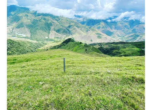 Se Vende Finca Naranjal - Roldanillo