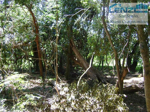 Imagem 3 de 29 de Sítios À Venda Em Bragança Paulista/sp - Compre O Seu Sítios Aqui! - 1391030