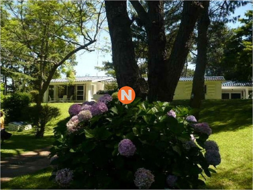 Casa En Venta Y Alquiler, Cantegril, Punta Del Este, 4 Dormitorios.- Ref: 207382