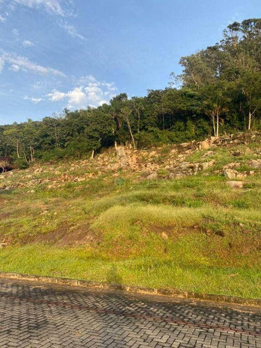 Imagem 3 de 15 de Terreno De 453m² Nos Ingleses. - Te0781