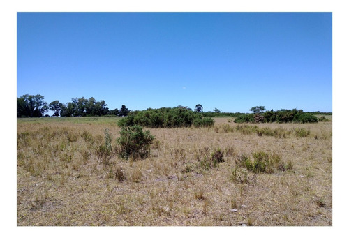 Imagen 5 de 8 de Campo En Venta En Alvarez Jonte-punta Indio