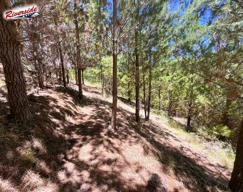 Parcela Con Gran Bosque, Ideal Para Refugio, Bucalemu