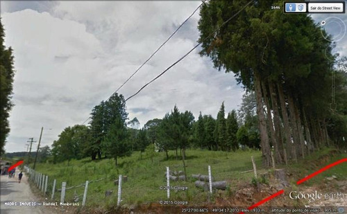 Imagem 6 de 10 de Terreno Para Venda Em Campo Largo, Bolsa Nova - 811_2-154242