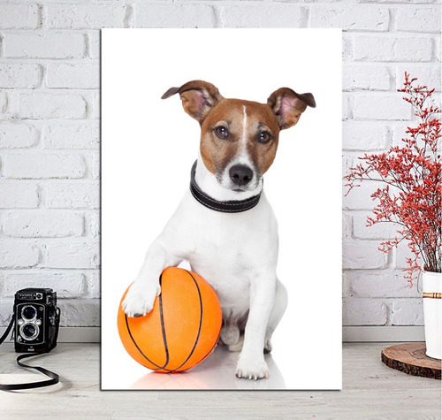 Vinilo Decorativo 30x45cm Perro Basquet Basketball Jack