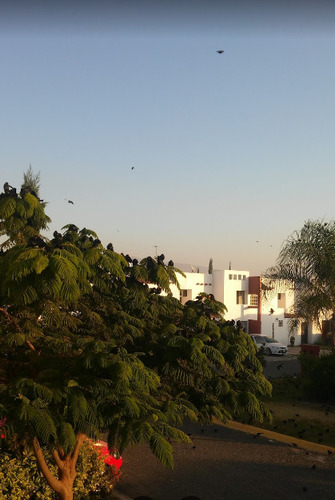 Altus Bosques, Casa Venta, Tlajomulco De Zuñiga, Jalisco