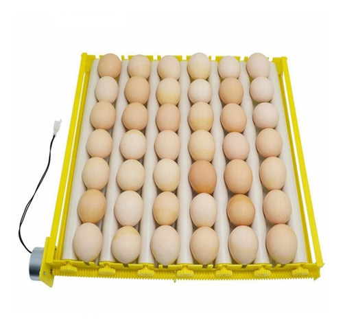 Accesorios Para Incubadoras De Huevos De Plástico, Duraderos