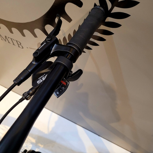 Bicicleta Prolion África Monoplato 1x9 Negro M