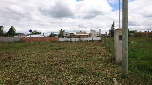Imagen 3 de 4 de Terreno En Venta En Villa Rosa