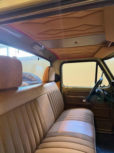 F100 1980