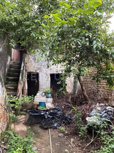 Imagen 6 de 8 de Casa En Venta Para Proyecto, San Martin, Guadalajara, Jalisco.