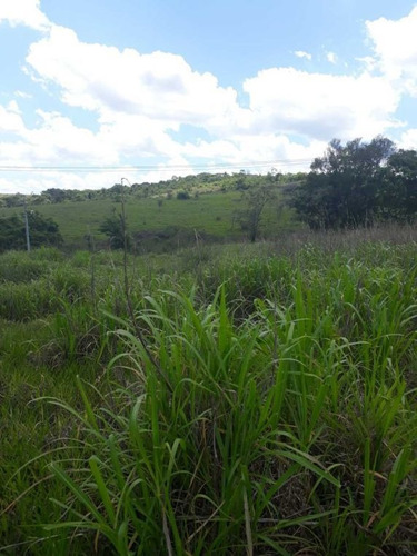 Imagem 13 de 27 de Sitio Campinas Antes Do Pedagio De Jaquariuna 46 Hectares - 42655
