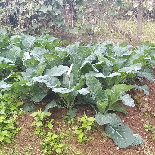 Imagem 7 de 30 de Chácara Mobiliada! Caucaia Do Alto R$ 600 Mil, Cod: 4258 - V4258