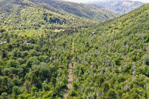 Parcela En Venta En Curacautín
