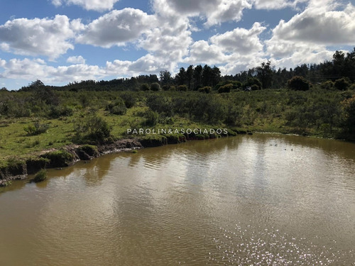Campo En Venta Excelente Lugar- Ref: 3643