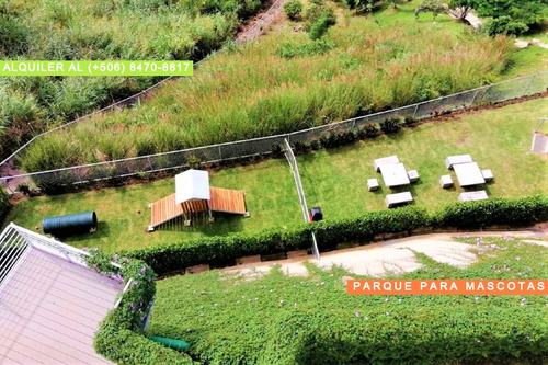 Imagen 14 de 14 de Aproveche! Apt 1 Hab, Parqueo, Exc Condominio Full Amueblado