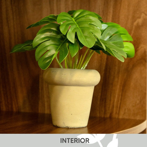 Monstera En Maceta De Cemento 15cm Color Café Hogar Interior