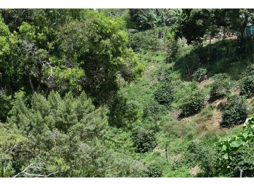 Se Vende Lote En Quimbaya Quindío