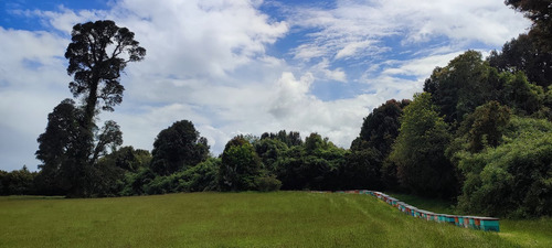 Terreno Agrícola En Venta 4,25 H En Puerto Octay