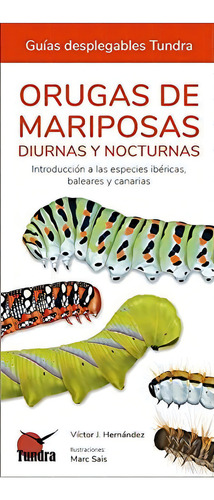 Orugas De Mariposas - Guias Desplegables Tundra, De Victor J. Hernandez. Editorial Tundra, Tapa Blanda En Español, 2022