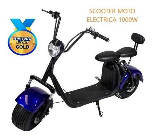 Imagen 2 de 7 de Scooter Moto Eléctrico Doble Asiento, Doble Freno, 1000w Iva