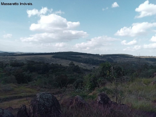 Imagem 22 de 30 de Terreno - A Venda - Valinhos - Te00313 - 69815166