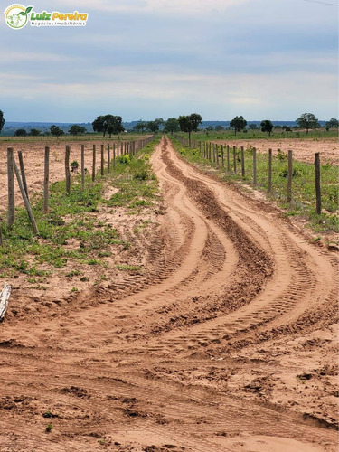 Imagem 13 de 15 de Fazenda À Venda Em Ribas Do Rio Pardo - Ms - 110 Hectares (pecuária) - 2122