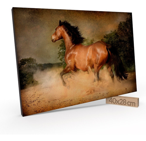 Cuadro Decorativo 28x40 Cm Caballo Salvaje Jd 20-0108