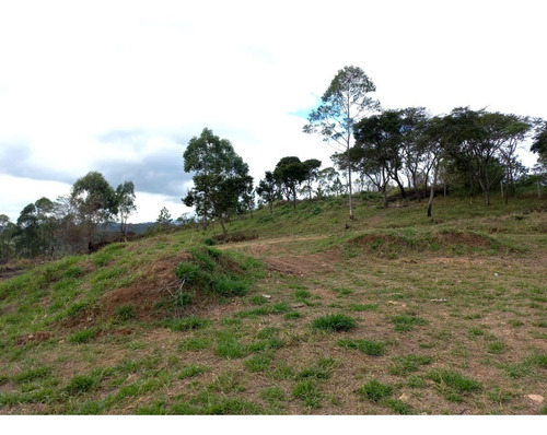 Imagem 8 de 9 de Lotes/ Terrenos