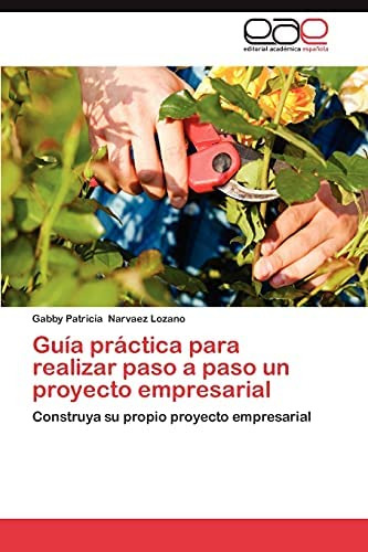 Libro: Guía Práctica Para Realizar Paso A Paso Un Proyecto E