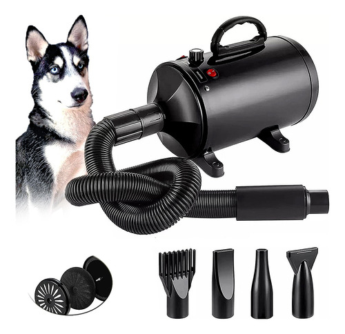 Secadora Profesional Mascotas 2800w Estetica Canina Perros