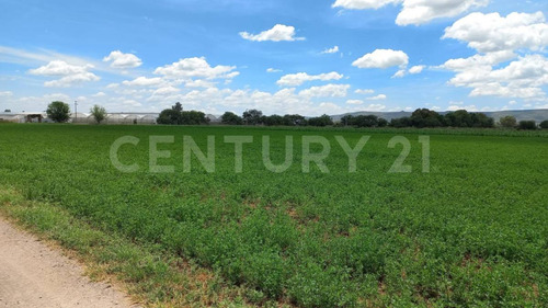 Terreno Rustico En Venta En Rincon De Romos