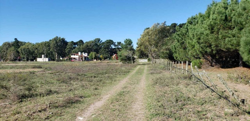 Imagen 9 de 15 de Venta 6 Hectáreas La Lucila Del Mar Loteo Campo Terreno