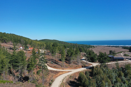 Mar Y Bosque Sobre Punta De Lobos
