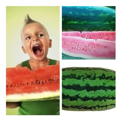 Melancia Gigante Congo Watermelon - 20 Sementes Para Mudas