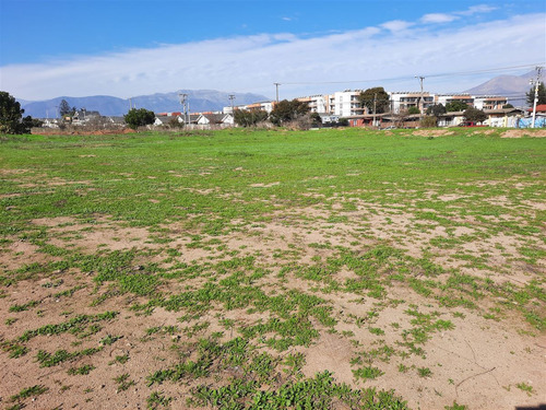 Sitio Comercial En Venta En Limache