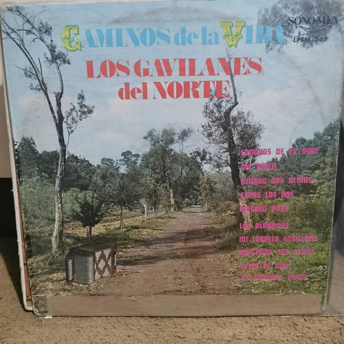 Disco Lp Los Gavilanes Del Norte-caminos De La Vida