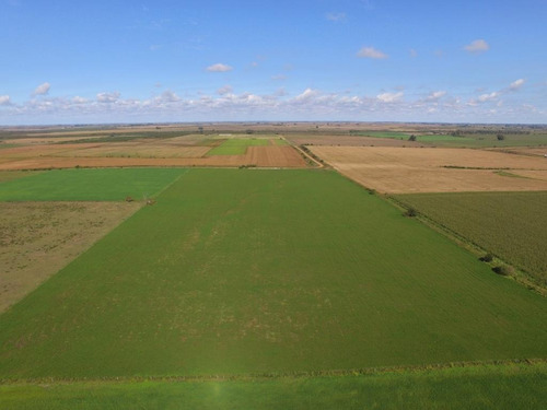 Imagen 1 de 9 de 12 Hectáreas Agrícolas En Aldea San Antonio, Gualeguaychú.
