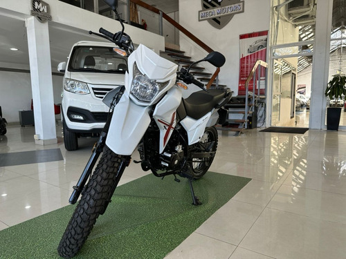 Motomel Skua Solo Dni