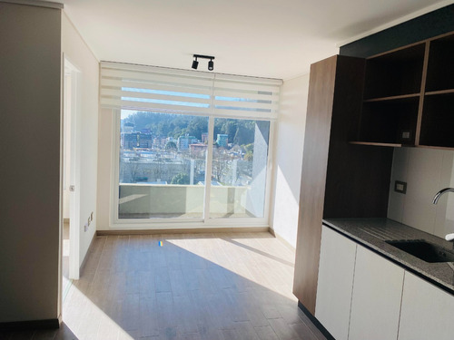 Se Arrienda Departamento En Avenida Pedro De Valdivia