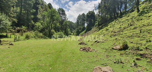 Imagen 4 de 18 de Terreno En Venta.