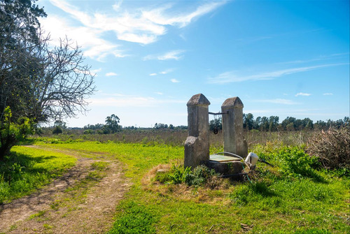 Venta Chacra 28 Ha Abayuba Arroyo Y 2 Tajamares C.rigel