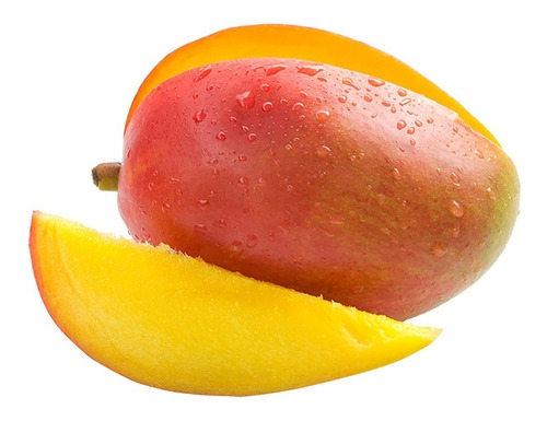 Mango Tommy No Semilla Arbolitofrutal Injertado Envió 