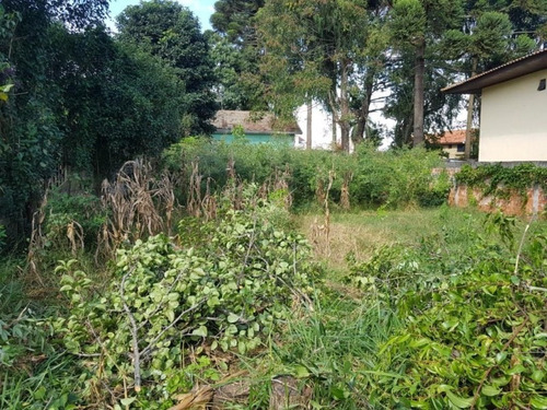 Terreno No Portão. - Te0144 - 34982958